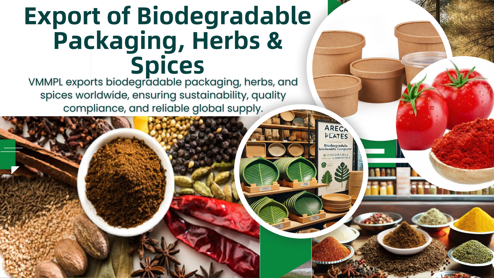 Trusted Global supplier of sustainable packaging and natural spices.